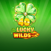 40 Lucky Wilds Hot game icon